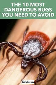 If you decide to go this route, i would read a few reviews to find out the best tips. Pin On Pest Control