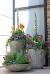 Outdoor Patio Plants