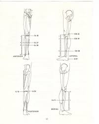 Pin On The Acupuncture Treatment Of Pain Leon Chaitow