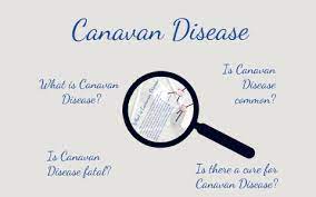 Canavan Disease By Isaac Ross