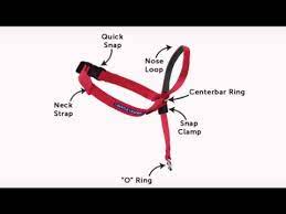 An incorrectly fastened harness will not do its intended job and may end up harming the dog. Gentle Leader Head Collar Head Halter For Dogs Petsafe