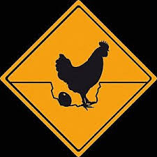 Free Image On Pixabay Rooster Chicken Egg Warning Chicken Art Embroidery Art American Graffiti