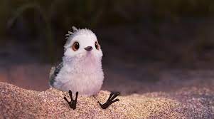 Large genus of chiefly climbing tropical shrubs. Pixar Animation Studios