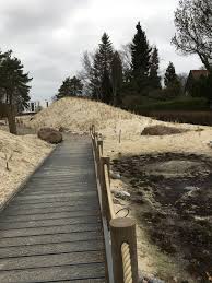 Pin Von Auf Botanischer Garten Rombergpark Botanischer Garten Garten Rom