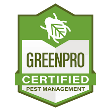 ◄◄ ◄ previous page page 2163 of 3295 next page ► ►►. Wichita Pest Identification Ask An Ace Patton Termite Pest Control