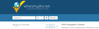 Check Dns Records For Developers Hoasted