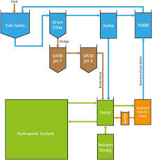 Aquaponics System With A Nutrient Concentrator Orange Bioreactors Download Scientific Diagram