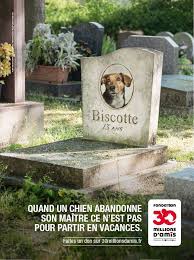 La fondation 30 millions d'amis se donne donc pour mission d'éveiller les consciences face à la brutalité de l'abandon et à la maltraitance animale. La Campagne De La 30 Millions D Amis Officiel Facebook