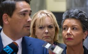 National's Judith Collins takes control of the caucus but how long can it  last?