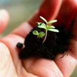 Discover 4-H