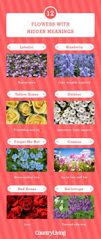 Most people do not consider flower meanings before gifting flowers. 12 Flowers And Their Meanings Flower Color Symbolism