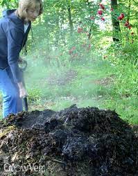 Composted manure works better than fresh manure, which can burn your flower plants because of the concentrated nutrients. Using Animal Manure In The Vegetable Garden