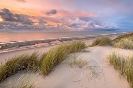 Hotel olanda è situato in una posizione quanto mai favorevole: L Isola Di Schiermonnikoog E Il Parco Di Lauwersmeer Meraviglie Sconosciute Nel Nord Dell Olanda Mare Del Nord Olanda Isola