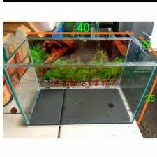 Ada paket2 aquarium decor juga. Akuarium Aquarium Ukuran 40 P X 20 L X 25 T Aquascape Shopee Indonesia