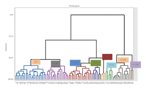 Image result for Vernonia galamensis