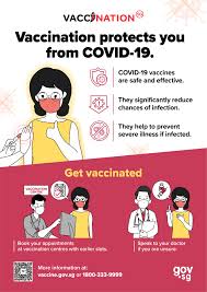 We did not find results for: Gov Sg Seniors Vaccination Resources English