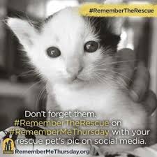 Remembermethursday Is On September 22 Get Involved In The Worldwide Social Media Awareness Day For Pet Adoption Pet Adoption Pets Cat Adoption