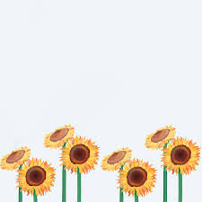 Check spelling or type a new query. Sunflower Background By Lalslaksks On Deviantart