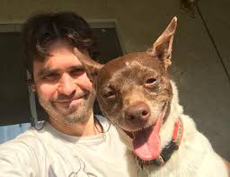 Join the Dogspring Elite email club!