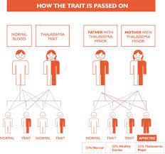 Thalassaemia – Dr Gan Kam Ling