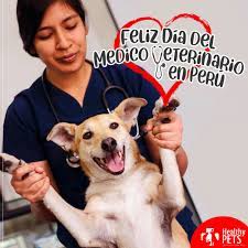 Jun 13, 2021 · desde el primer día del nacimiento de los cachorros, la reciente madre nunca dejó de protegerlos para que crezcan sanos y estuvieran a salvo en el interior de su recinto. Healthy Pets Feliz Dia Del Medico Facebook