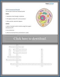 Maybe you would like to learn more about one of these? Cellular Respiration Worksheets For Middle School Lovetoknow