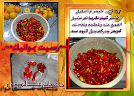 طريقه عمل الشطه الحااااره بالتفصيل بالصور راح تدمنونها ما ابي منكم غير الدعوات عالم حواء