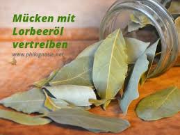 Lorbeerol Hausmittel Gegen Fliegen Und Mucken Philognosie Hausmittel Gegen Fliegen Hausmittel Gegen Mucken Hausmittel