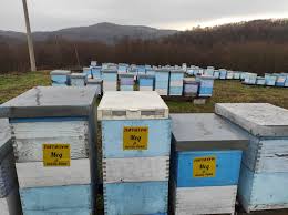 Rio Tinto a proposé la mine de lithium dans la vallée de Jadar, en Serbie |  EJAtlas