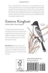 Birds Of Eastern North America The Field Guide To Dumb Birds Of North America Paperback C April 2 2019 Dumb Birds Field Guide Field Guide Bird Book North America