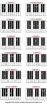 sharps and flats piano google search in 2019 piano