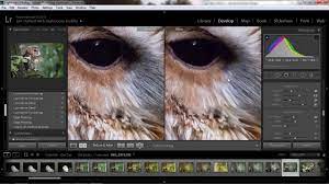 If you do not allow these cookies then some or all of these services may not function properly. Reducing Noise On Lightroom Youtube