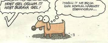 Kedi Ve Kopeklere Takilan Ilginc Isimler Uludag Sozluk