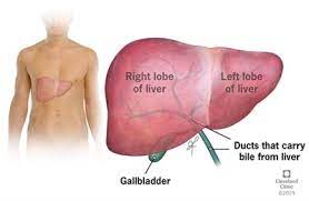See your doctor if you have these signs or symptoms: Liver Cancer Diagnosis Tests Management And Treatment