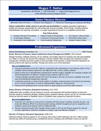 0044 121 638 0026 e. Finance Director Resume Distinctive Career Services Manager Resume Finance Project Manager Resume