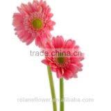 Give us a call and set up an appointment with debbie for prices and have your quest. China Long Stem Glass Flowers For Sale Quality Long Stem Glass Flowers From China Cn Mobile