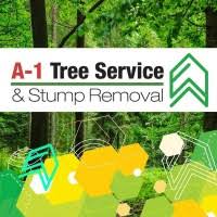Jun 05, 2021 · paso robles, calif. Michael Bertell Owner A 1 Tree Service Stump Removal Linkedin