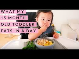 What My 15 Month Old Toddler Eats In A Day Food Diary