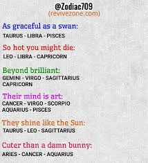Use them as a basic guide to help you understand the various personalities of the people. Zodiac Signs Star Signs Aries Taurus Gemini Cancer Leo Virgo Libra Scorpio Sagittarius Capricorn Zodiac Memes