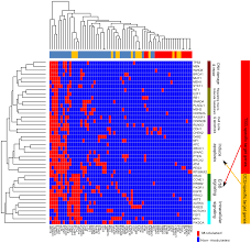 The color green represents gall bladder cancer, as well as liver cancer. Plos One Distinct And Competitive Regulatory Patterns Of Tumor Suppressor Genes And Oncogenes In Ovarian Cancer