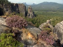 .im nationalpark sächsische schweiz sind durch umgebrochene bäume zurzeit nicht. Nationalpark Sachsische Schweiz Nationale Naturlandschaften