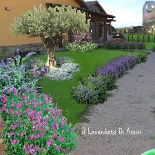 I gigli si fanno notare facilmente e con naturalezza. 370 Idee Su Calle Nel 2021 Idee Di Giardinaggio Giardinaggio Idee Giardino