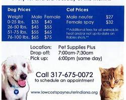 Lowcost spay and neuter services for cats