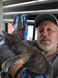 Lost cat near Ravine Dr and Trail Creek Rd?