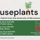Houseplants 101 event image