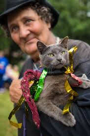 Most Photogenic Cat EVER! Car Art Parade 2016
