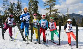 Was ein skigebiet der extraklasse ausmacht? Skifahren Lernen In Deutschland Top Anfanger Skigebiete