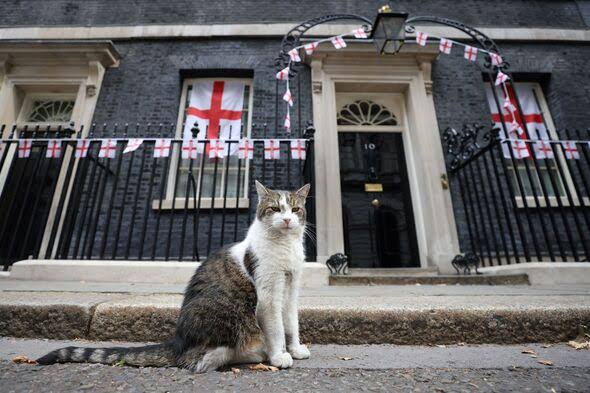 Keir Starmer hammered after England flag snub with 2-word insult | UK | News | Express.co.uk
