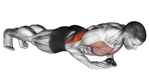 With a regular push up you lift about 70% off your own bodyweight. Proper Diamond Push Up Form To Build Your Triceps A Lean Life