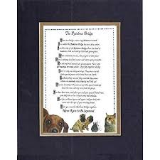 Her death must have left a wound inside me; Amazon Com Touching And Heartfelt Poem For Dog Memorial The Rainbow Bridge Dog Memorial Wall Decor Poem Pet Saying Bereavement On 11 X 14 Custom Cut Extra Wide Double Beveled Matting Home
